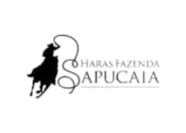 sapucaia-Photoroom